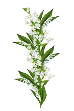 bahar çiçekleri beyaz arkaplanda yalıtılmış leylak