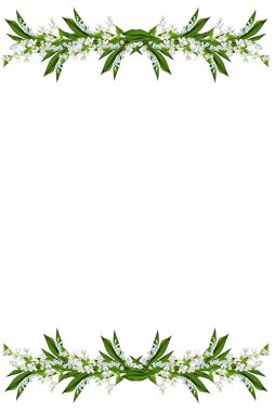 bahar çiçekleri beyaz arkaplanda yalıtılmış leylak