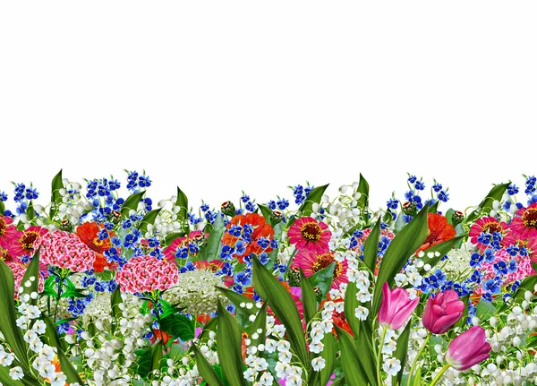 Květinové pozadí. květiny — Stock fotografie