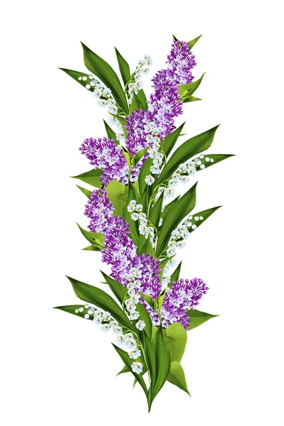 Spring flowers lilac  isolated on white background — Stock Photo, Image