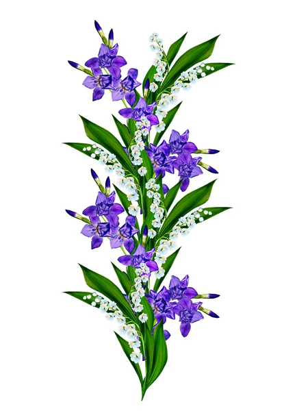 Blaue Iris Blume isoliert auf weißem Hintergrund — Stockfoto