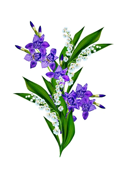 Flor de íris azul isolado no fundo branco — Fotografia de Stock