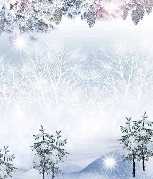 Vinter. träd — Stockfoto