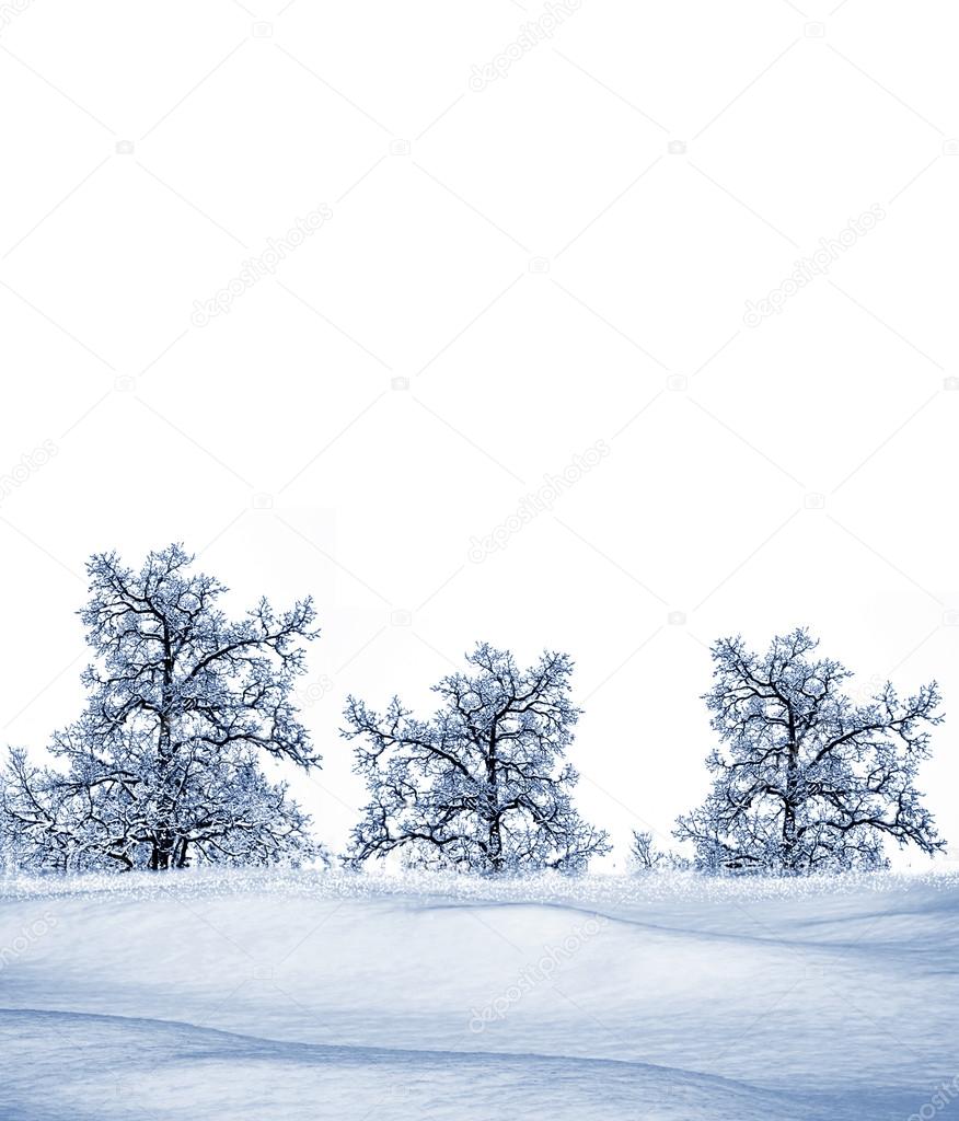 Winter. tree
