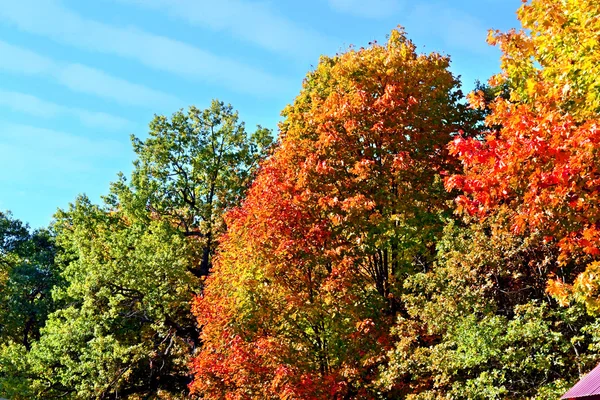 Paesaggio d'autunno — Foto Stock