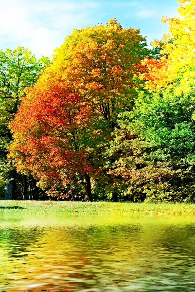 Herfstlandschap — Stockfoto