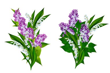 bahar çiçekleri beyaz arkaplanda yalıtılmış leylak