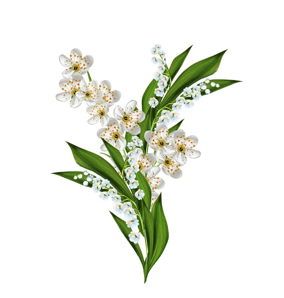 Rama de flores de cerezo aisladas sobre fondo blanco . — Foto de Stock