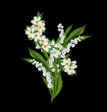 Kiraz çiçekleri ve lily vadi üzerinde siyah bir backg izole