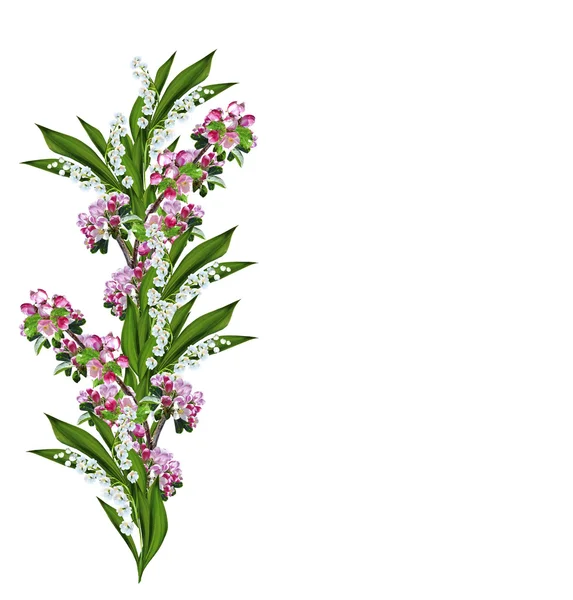 Квітуча слива і лілія долини ізольовані на білому фоні — стокове фото