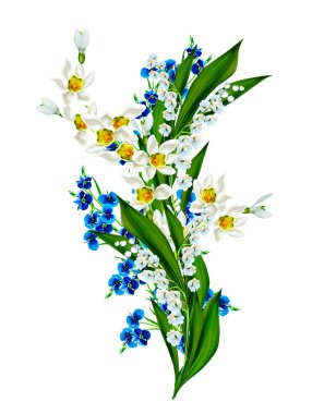 bahar beyaz zemin üzerine izole kardelen çiçek