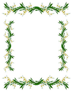 bahar beyaz zemin üzerine izole kardelen çiçek