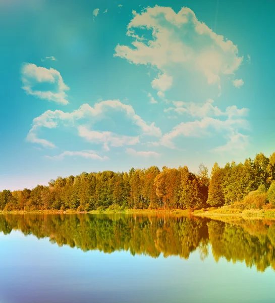 Lake in autumn forest Royalty Free Stock Photos