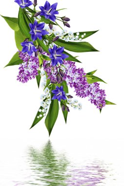 bahar çiçekleri beyaz arkaplanda yalıtılmış leylak