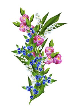 bahar çiçekleri beyaz arkaplanda izole laleler