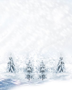 kış orman. Kış manzarası.