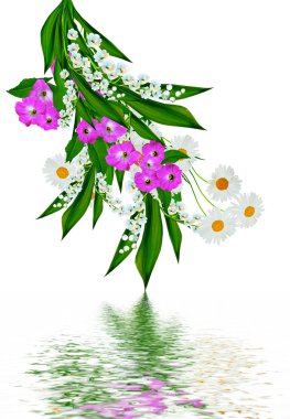 Beyaz arka planda izole edilmiş papatyalar.