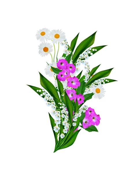 雏菊夏天的白色花朵，在白色背景上被隔离 — 图库照片