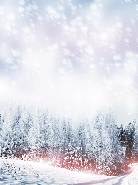 张圣诞贺卡。冬季景观 — 图库照片