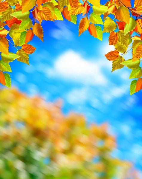 El otoño se va contra un cielo azul con nubes —  Fotos de Stock