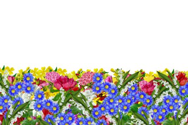 Beyaz arkaplanda izole çiçekler