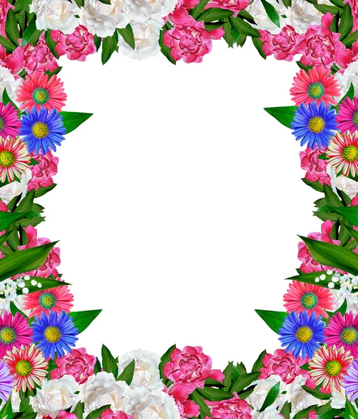 Pfingstrose Blumen isoliert auf weißem Hintergrund — Stockfoto