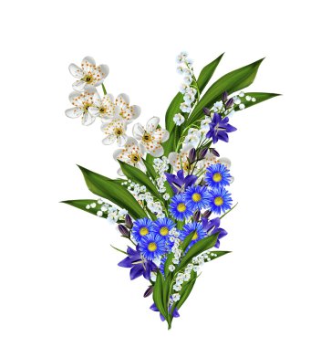 kiraz çiçekleri beyaz arka plan üzerinde izole Şubesi.