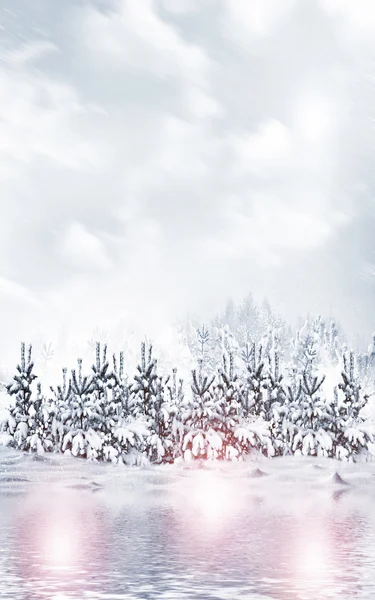 Winter Forest. Paysage hivernal . — Photo