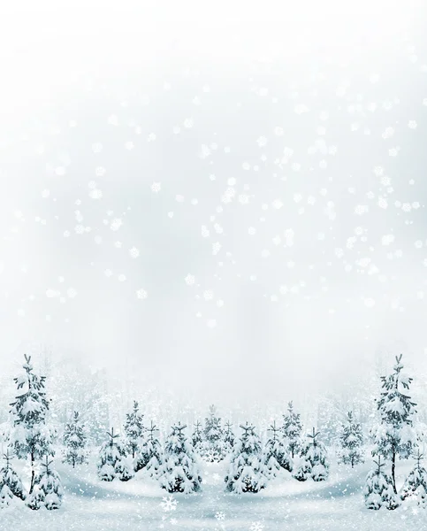 Talvimetsä Talvi maisema . — kuvapankkivalokuva