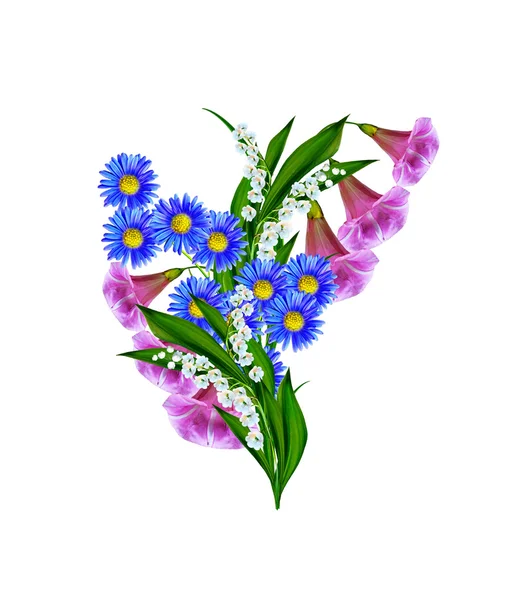 Morning Glory flower isolated on white background — Stock Photo, Image