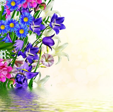 narin çiçekler bluebells çiçek arka planı