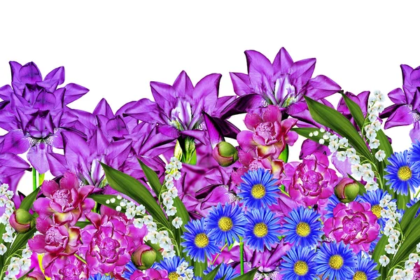 Iris modré květy na bílém pozadí — Stock fotografie