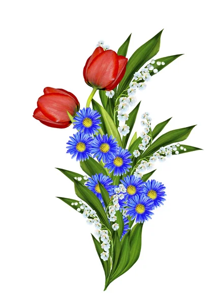 Frühling Blumen Tulpen isoliert auf weißem Hintergrund — Stockfoto