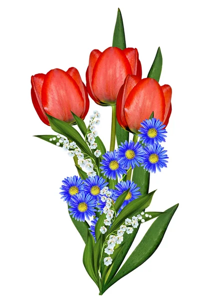 Frühling Blumen Tulpen isoliert auf weißem Hintergrund — Stockfoto