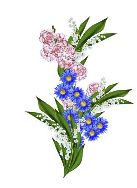 karanfil beyaz arkaplanda izole edildi