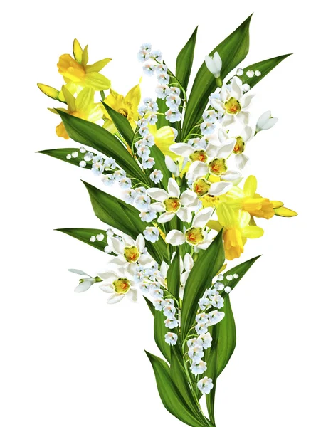 Frühlingsblumen Narzissen und Maiglöckchen isoliert auf wh — Stockfoto