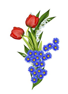 bahar çiçekleri beyaz arkaplanda izole laleler