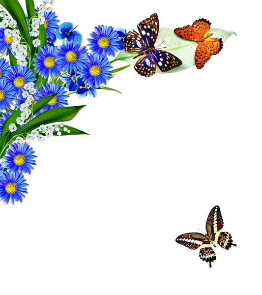 Blommor och fjärilar isolerad på en vit bakgrund — Stockfoto