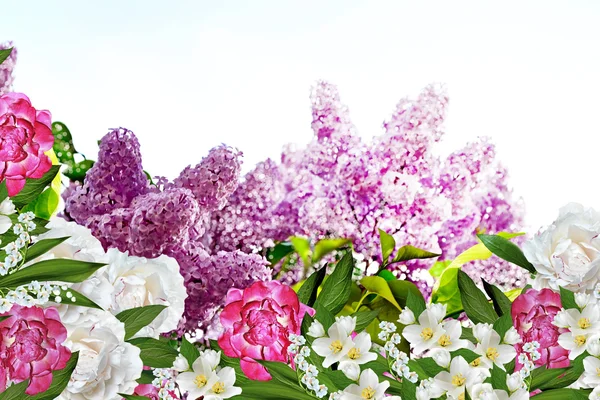 Spring. lilac branch. peonies — Stock Photo, Image