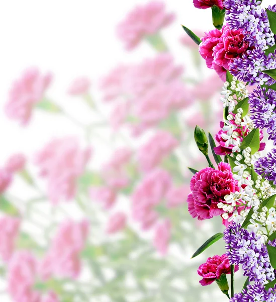 Bouquet of flowers carnation — Stock Photo, Image