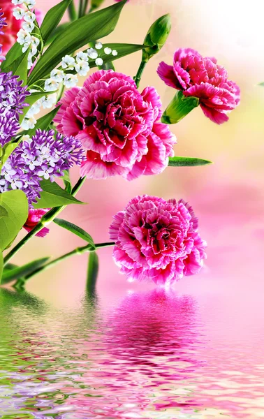 Boeket van bloemen anjer — Stockfoto