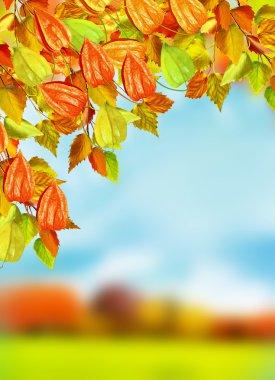 sonbahar yaprakları. Altın sonbahar. Manzara.