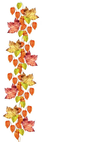 Herfst bladeren geïsoleerd op witte achtergrond — Stockfoto