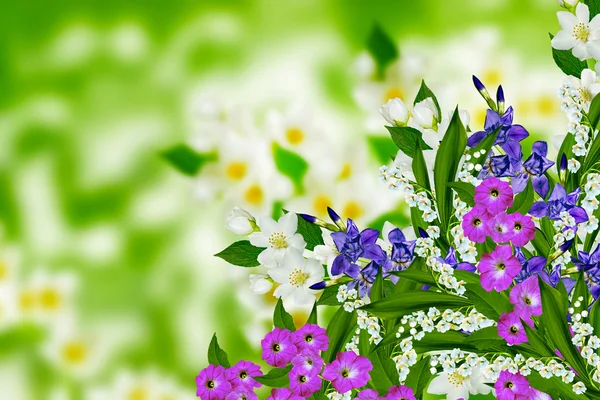 Flores de jazmín, iris y lirios del valle —  Fotos de Stock
