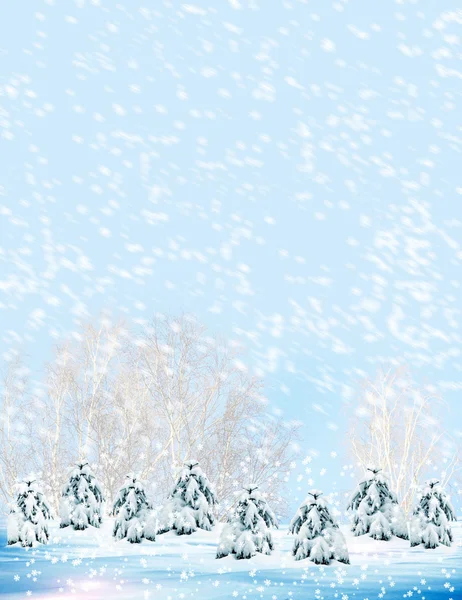 Vintern skog. vinterlandskap. — Stockfoto