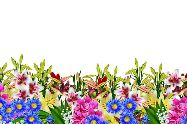 Bloemen geïsoleerd op witte achtergrond — Stockfoto