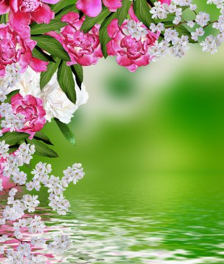 Çiçek arka plan. Çiçek lilyum vadi