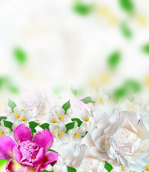 Flores de primavera peonías y jazmín —  Fotos de Stock