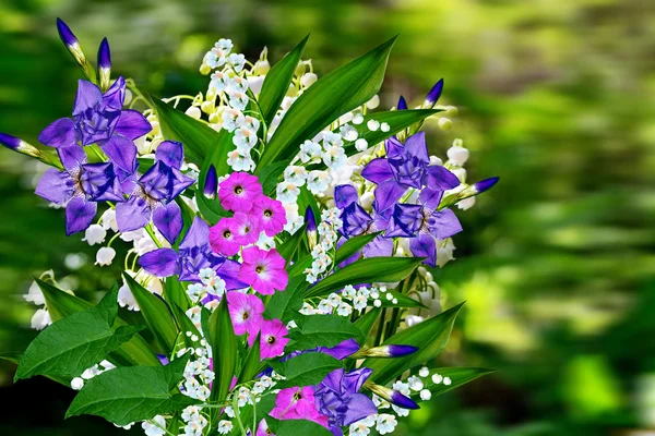 Pemandangan musim semi dengan bunga lily dari lembah — Stok Foto