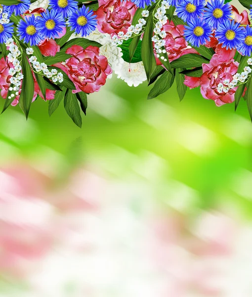 Flores de primavera peonías y jazmín — Foto de Stock